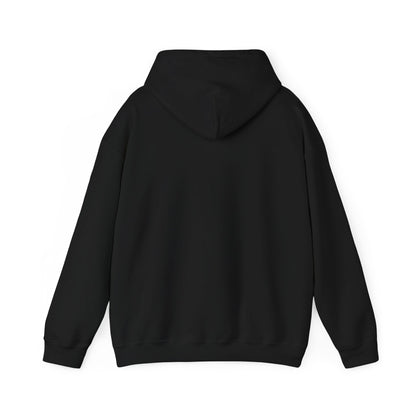 noirfall colors hoodie